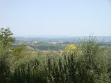 VISTA DA PANCOLE.JPG